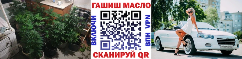 кракен рабочий сайт  купить закладку  Микунь  ТГК вейп 