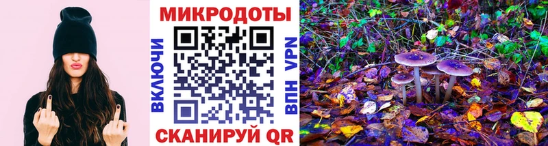 где можно купить   Микунь  Псилоцибиновые грибы Magic Shrooms 